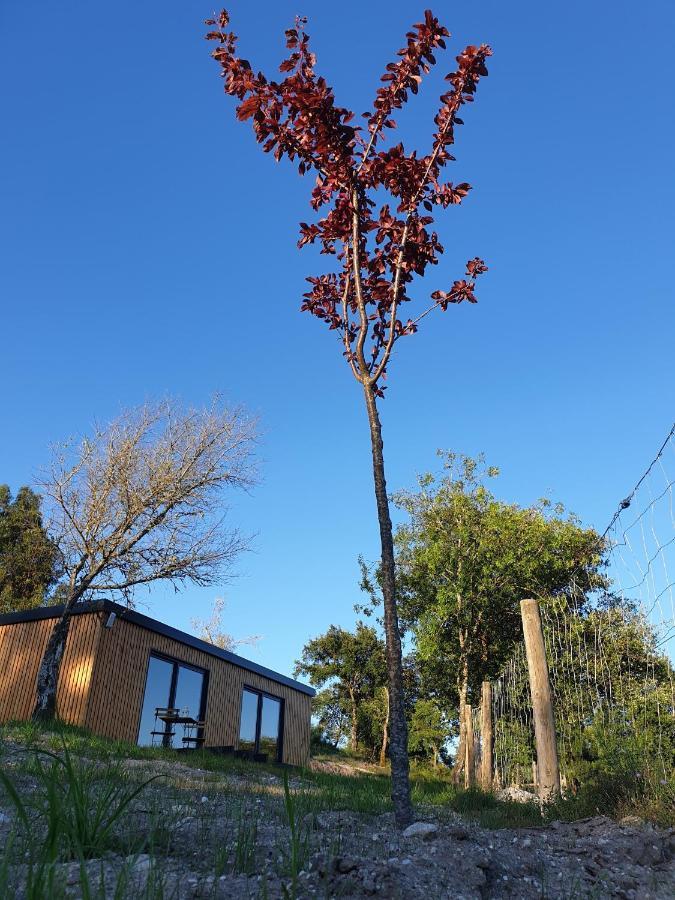 Casa D' Alem Turismo E Natureza - Refugio Do Valouto Torneiro Luaran gambar